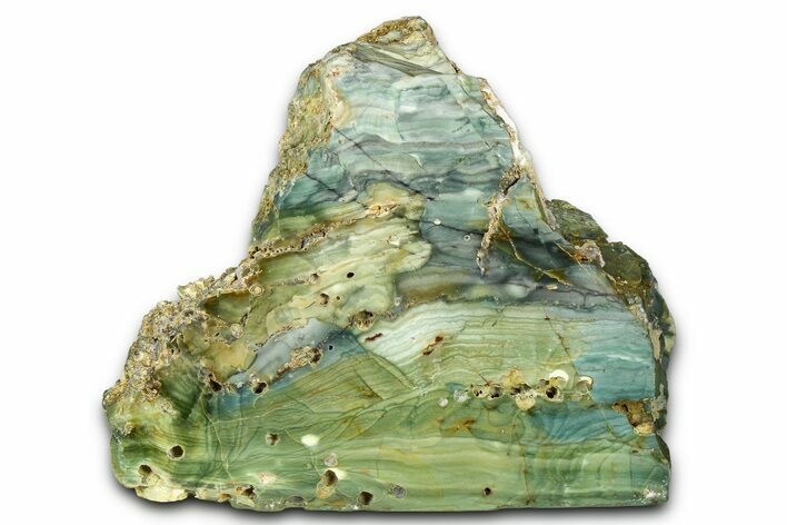 Freestanding Gary Green Jasper (Larsonite) Bog Wood - Oregon #377845